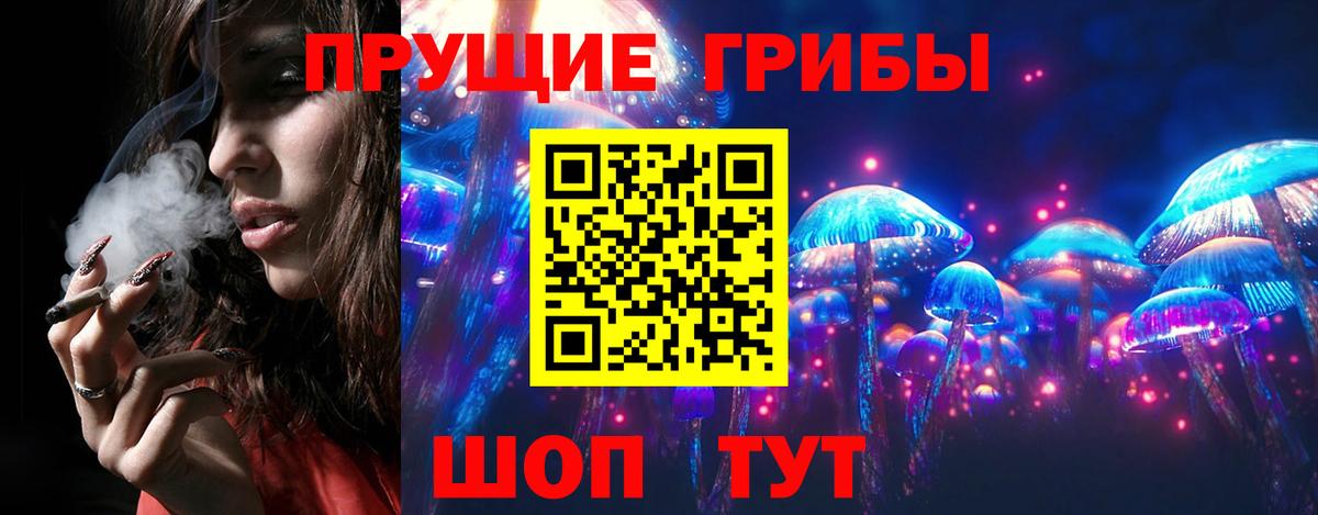 Междуреченск  Псилоцибиновые грибы Cubensis  Вход с VPN  Галлюциногенные грибы Psilocybe 